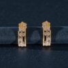 Stunning 0.40 Cts Round Brilliant F/VS1 Natural Diamonds Stud Earrings 14K Gold